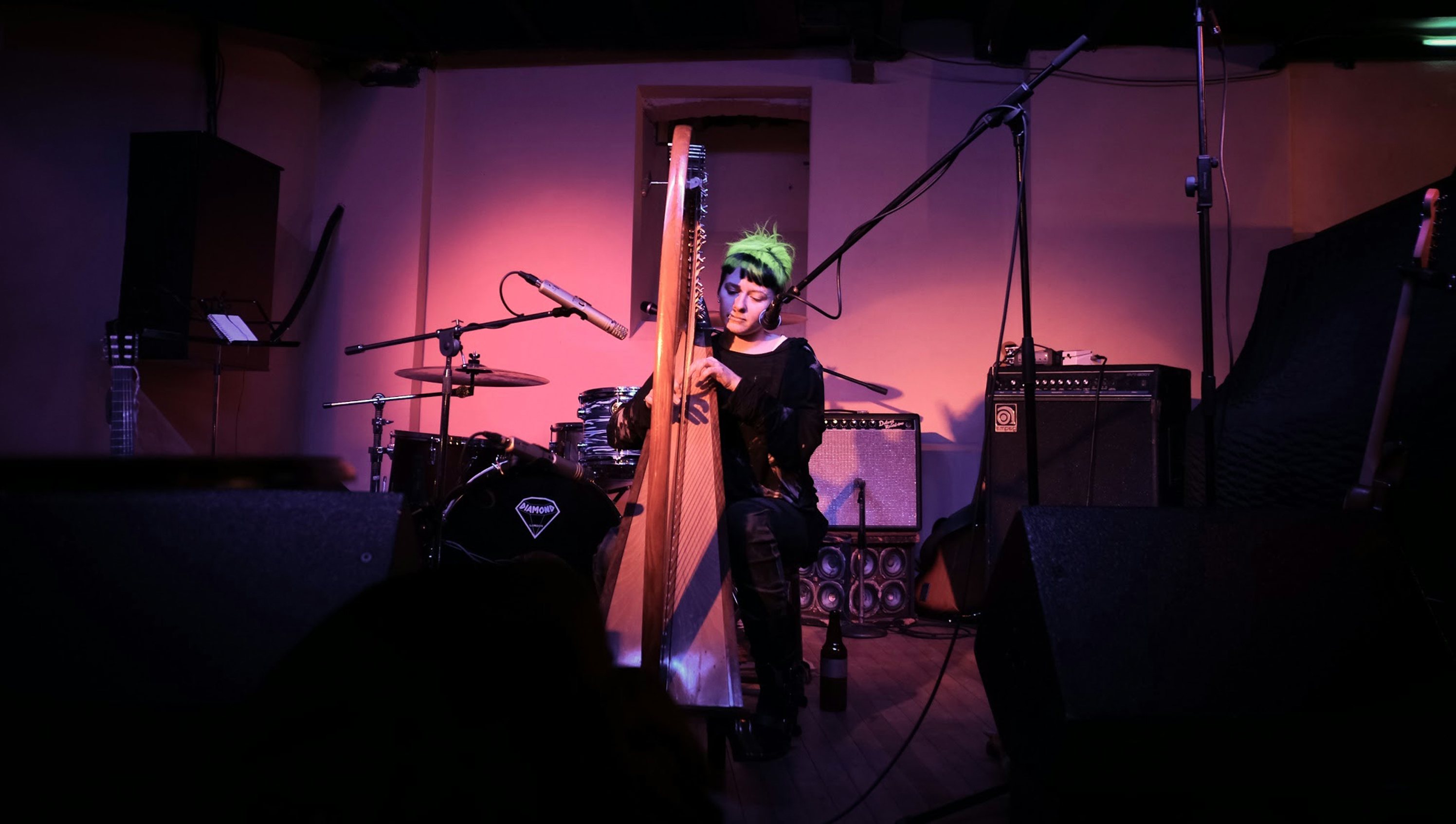 Anna Skodbo harping at a book launch